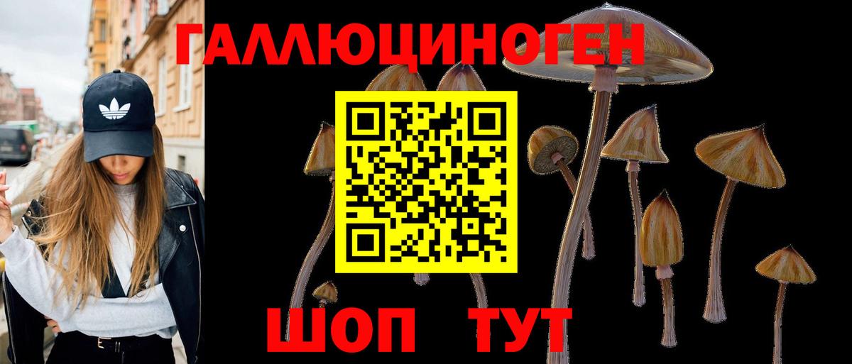 Псилоцибиновые грибы MAGIC MUSHROOMS  Галлюциногенные грибы Magic Shrooms  Вход с VPN  Амурск 
